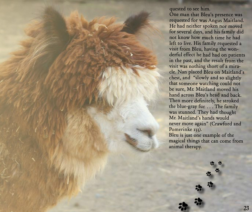 Book by Cameron Conway